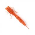 Силиконовая приманка X-Larva 2" Fanatik-club Беларусь 17097